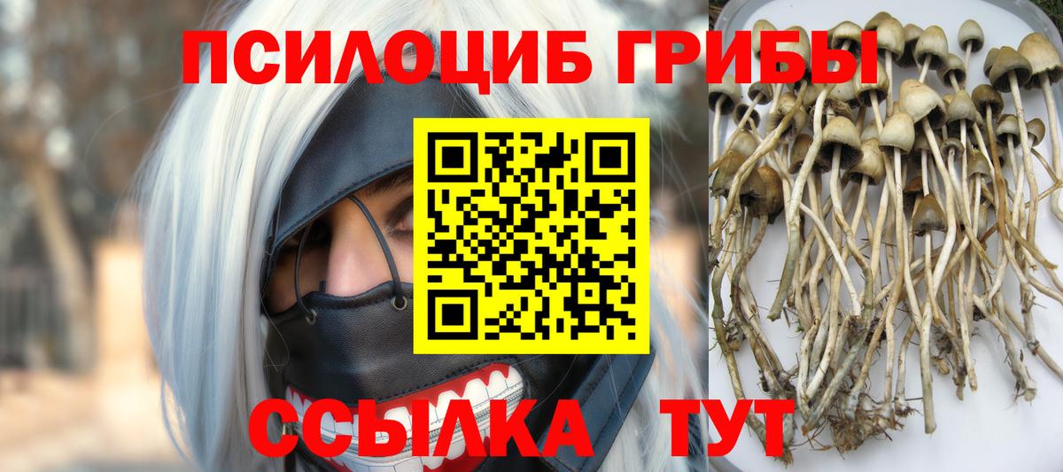Псилоцибиновые грибы Magic Shrooms Севастополь