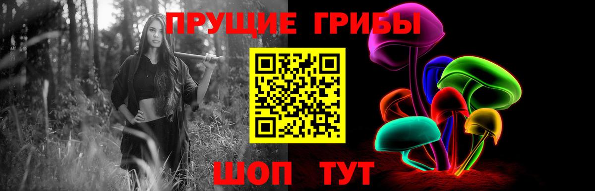 Севастополь  Галлюциногенные грибы прущие грибы  закладка  Вход с VPN 